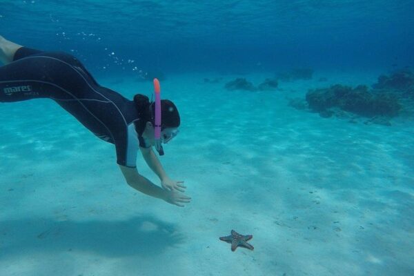 Snorkeling at Mnemba Atoll